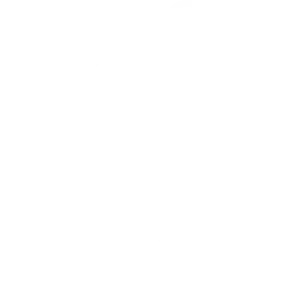 Digital Marketing & Advertising icon